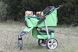 POUSSETTE - STROLLER 002